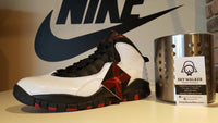 Nike Air Jordan Retro 10 310805-100