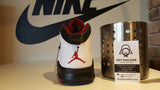 Nike Air Jordan Retro 10 310805-100