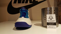 Nike Air Jordan Retro 10 “Charlotte” 310805-107